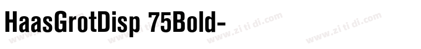 HaasGrotDisp 75Bold字体转换